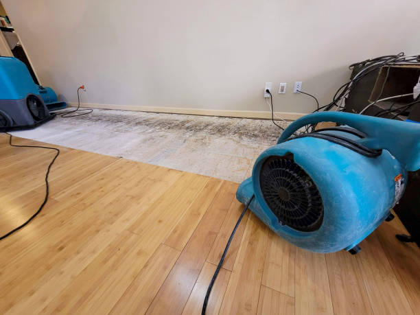 Professional Basement Flood Cleanup technician working in Newton, MS